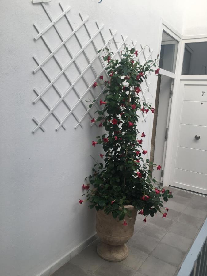 Apartamento Loft Xerez Centro Jerez de la Frontera Exterior foto
